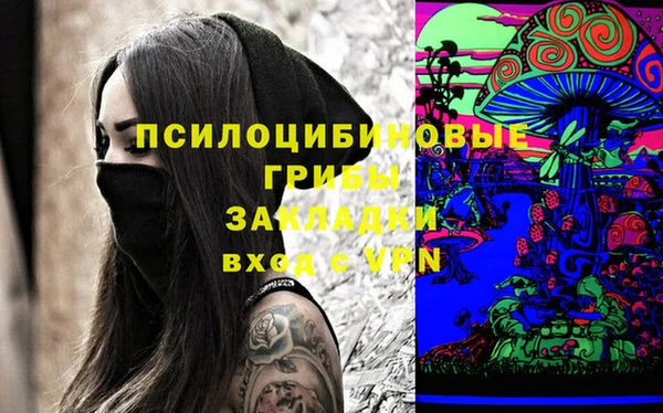 mix Вяземский