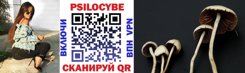 Галлюциногенные грибы Psilocybine cubensis  Купить  Сольвычегодск 